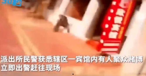 深圳杨某爆料最新新闻事件,最新事件引发社会关注  第2张