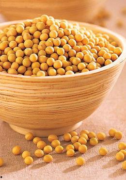 小黄豆爆料视频大全,揭秘娱乐圈幕后真相 第3张 小黄豆爆料视频大全,揭秘娱乐圈幕后真相 第3张